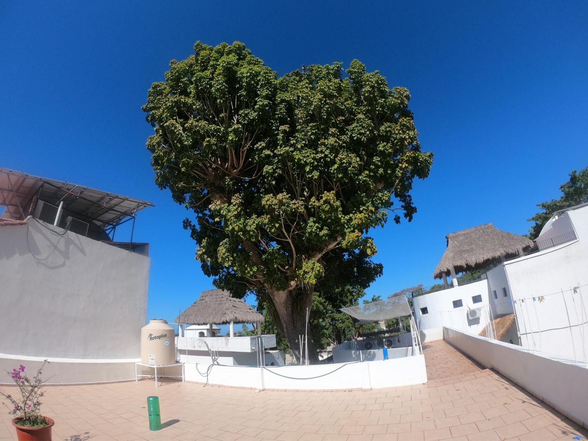 Casa Arbol De Paz Habitacion Doble ชาซาลา ภายนอก รูปภาพ