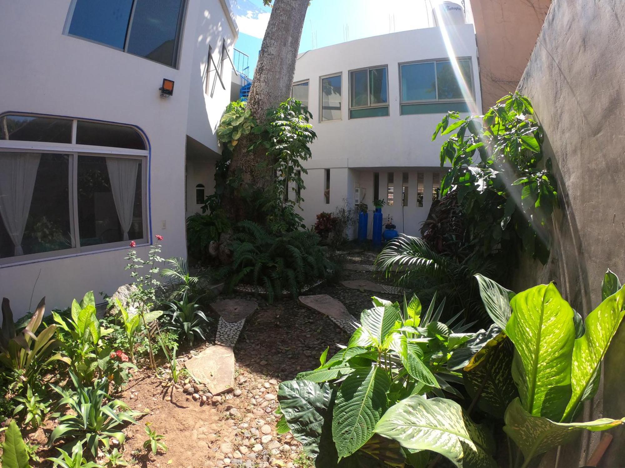 Casa Arbol De Paz Habitacion Doble ชาซาลา ภายนอก รูปภาพ